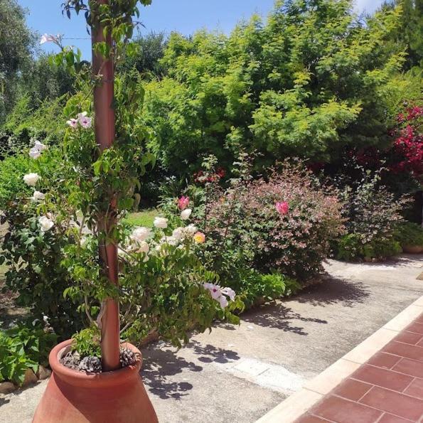 La Casa Di Giada, Appartamento In Villetta Con Aria Condizionata, Wi-Fi E Parcheggio Gratuito Poggi Exterior foto